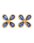 22K & Kyanite "Star" Studs - Peridot Fine Jewelry - Cathy Waterman