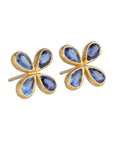 22K & Kyanite "Star" Studs - Peridot Fine Jewelry - Cathy Waterman